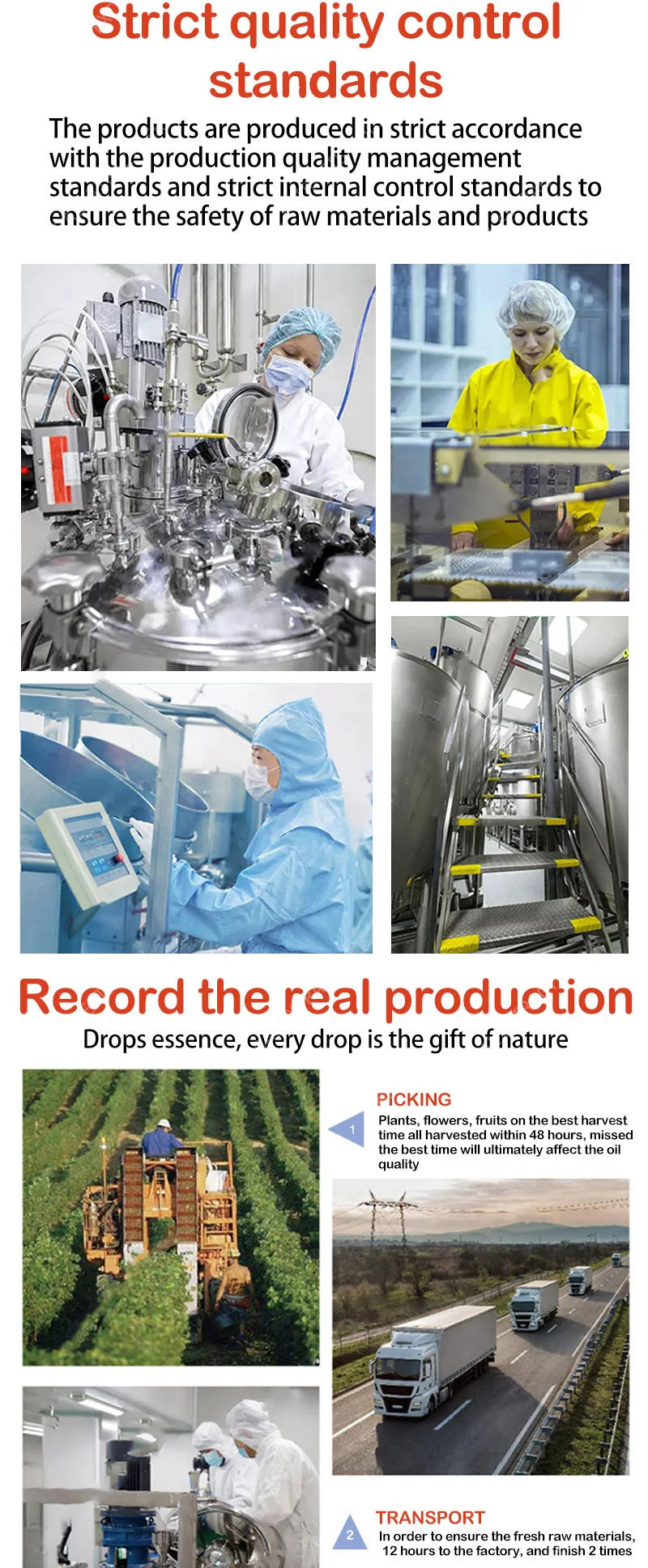 Sérum Réducteur de Pores - Essence Purifiante Visage